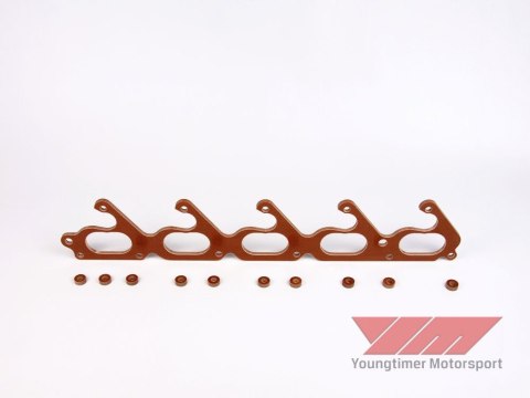 Phenolic spacer for Audi 2.5 5-cylinder TFSI engine TTRS Phenolic spacer for Audi 2.5 5-cylinder TFSI engine TTRS